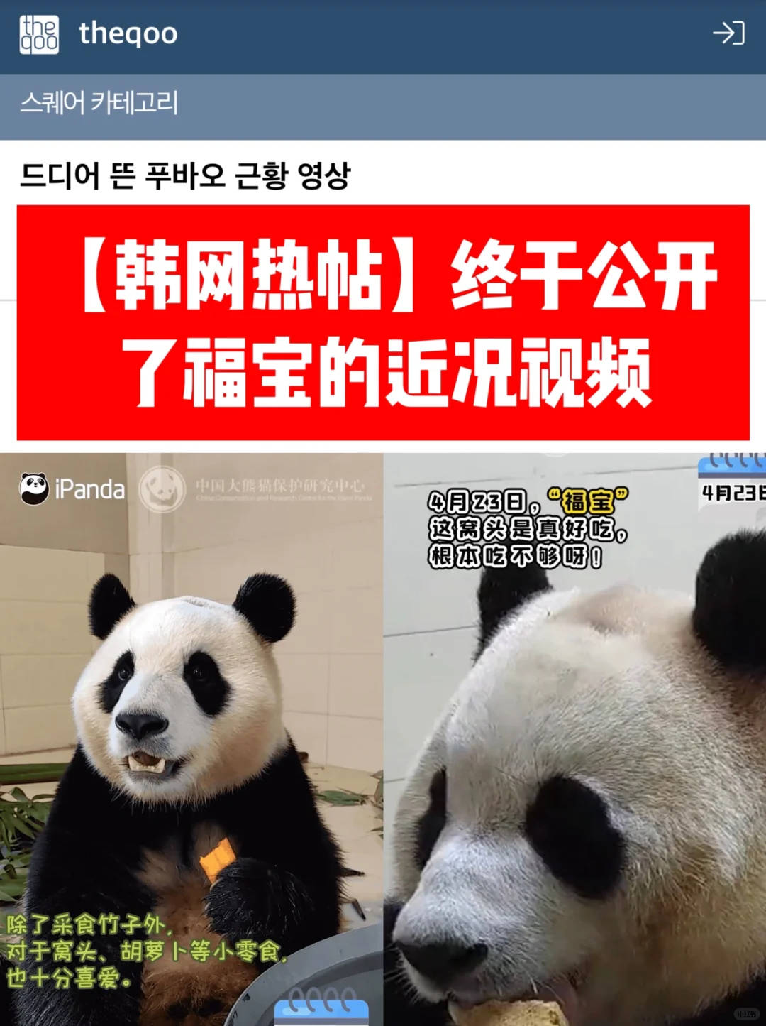 🔥韩网热帖｜终于公开了福宝🐼的近况