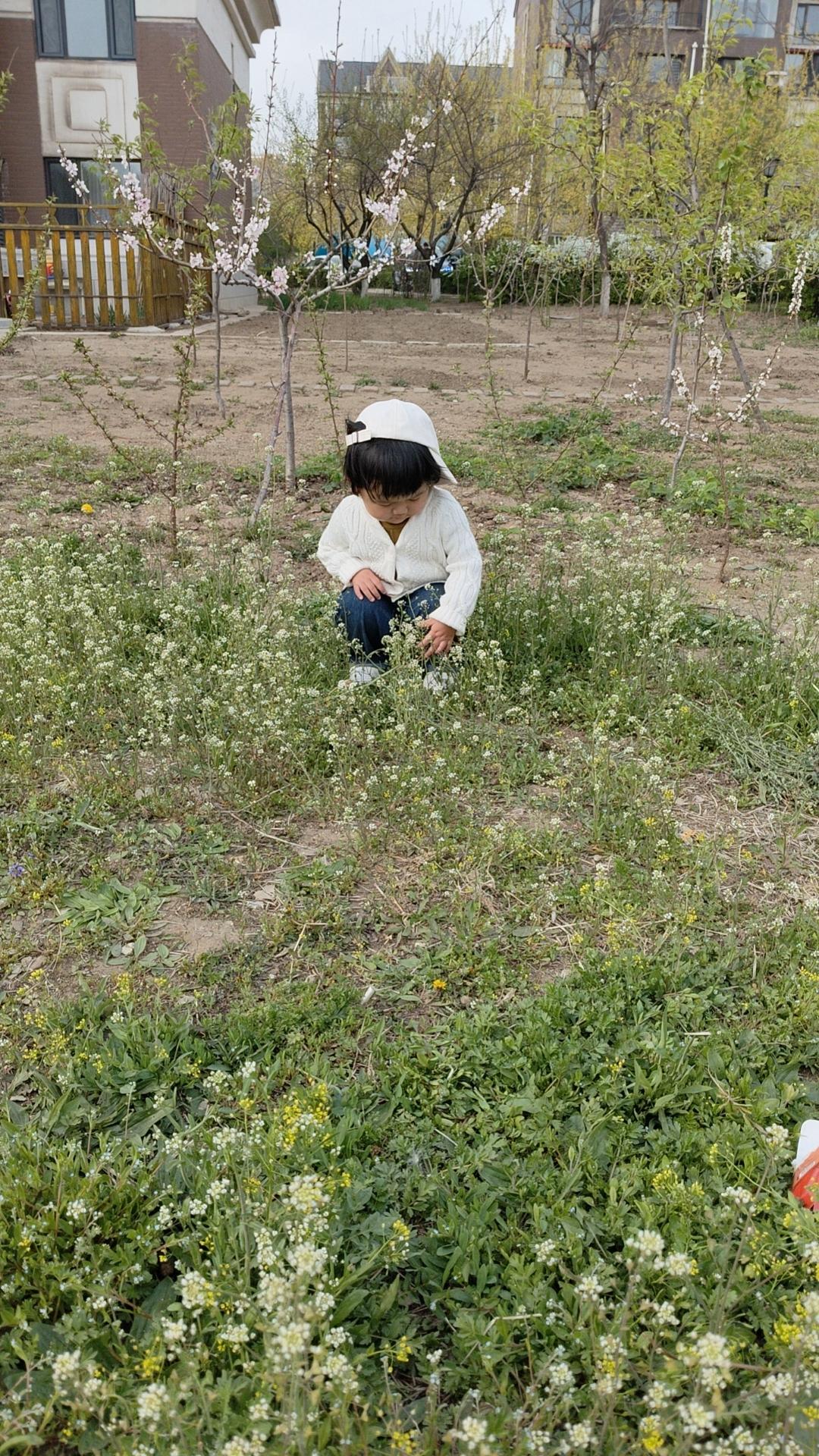 随手拍一张山花野草每到这个季节漫山遍野，都是一些不知名的野花，一簇一簇的竞相开放
