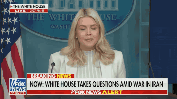 美国金发美女发言人：杀光伊朗前任政府所有高官，就算政权更迭！这观点你同意吗……为