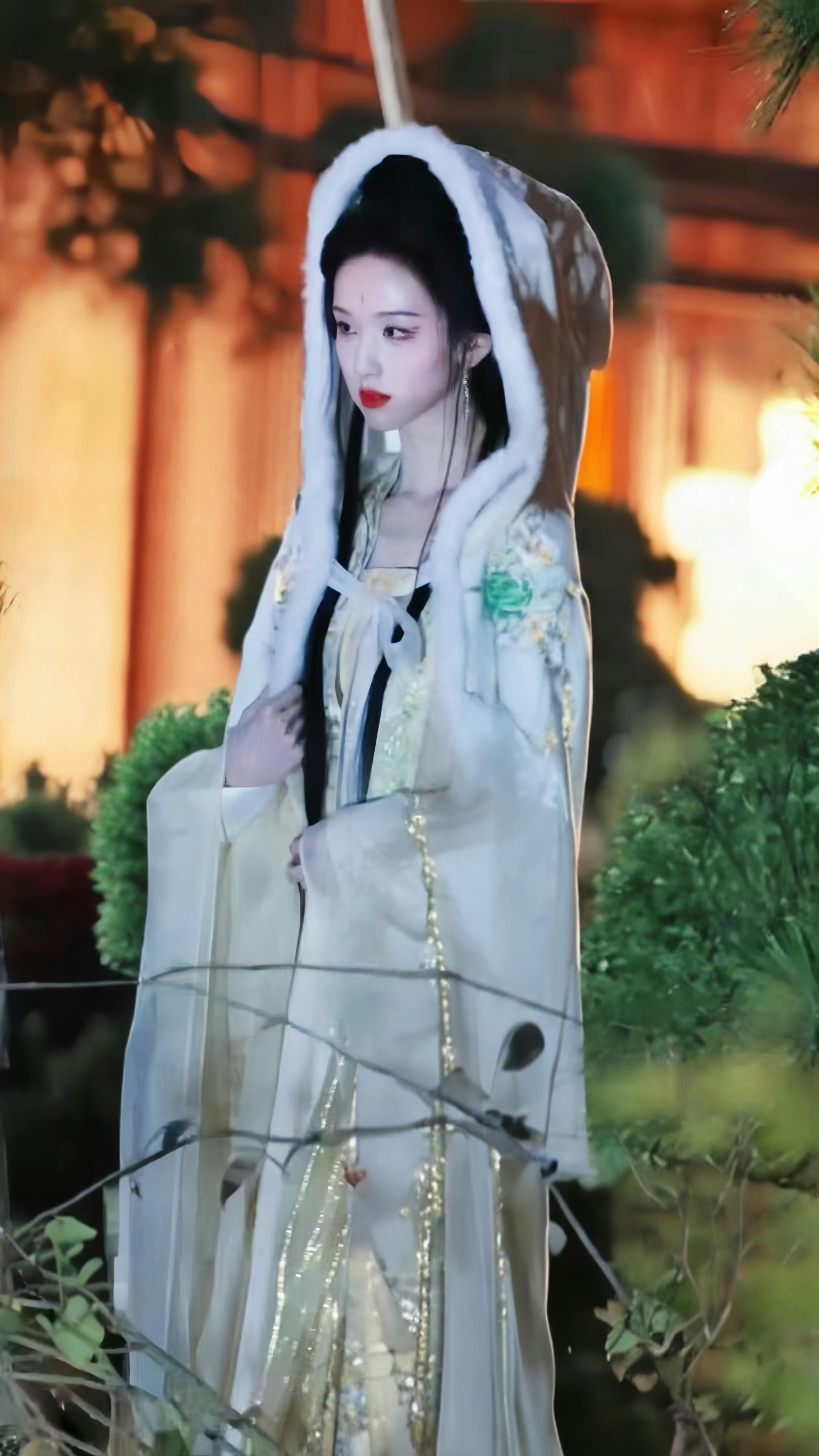 观音面 嫦娥身 黛玉骨 木兰质 陈都灵 