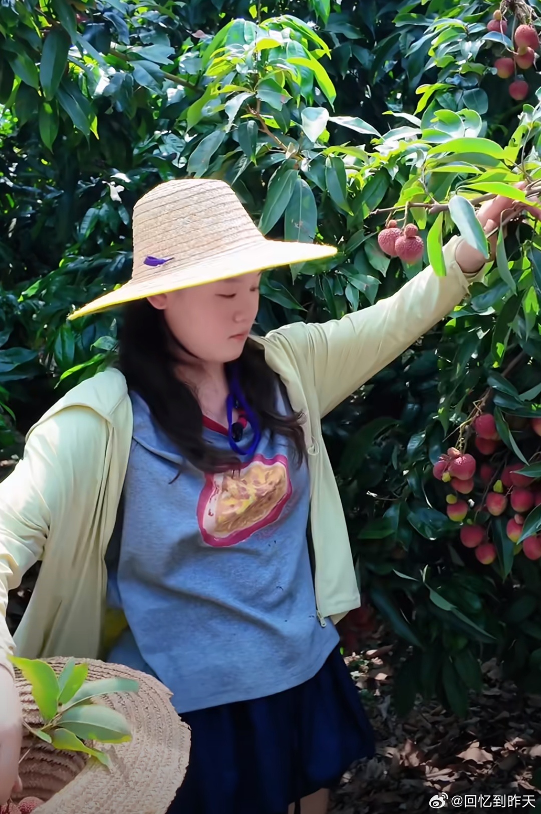 张家齐助农张家齐开始助农啦 ，有视频显示张家齐开始助农，作为以前的奥运冠军，张家