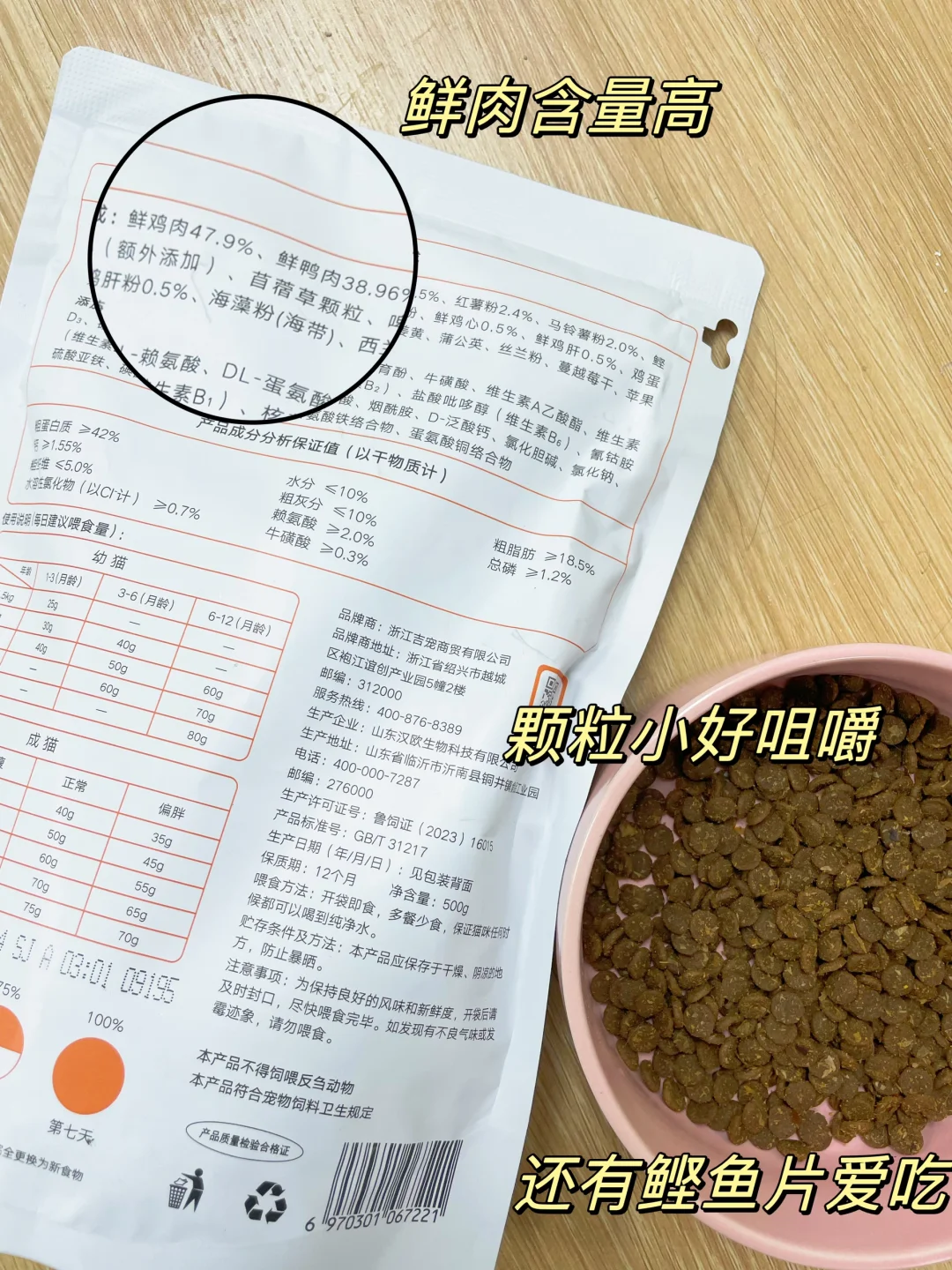 养猫人生忠告，江小傲绝对是你必备选择