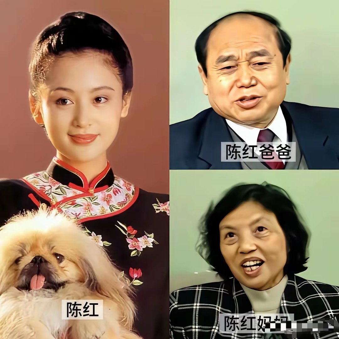 真是中了基因彩票，难以想象陈红的父母相貌平平，居然能生出这么漂亮的女儿 