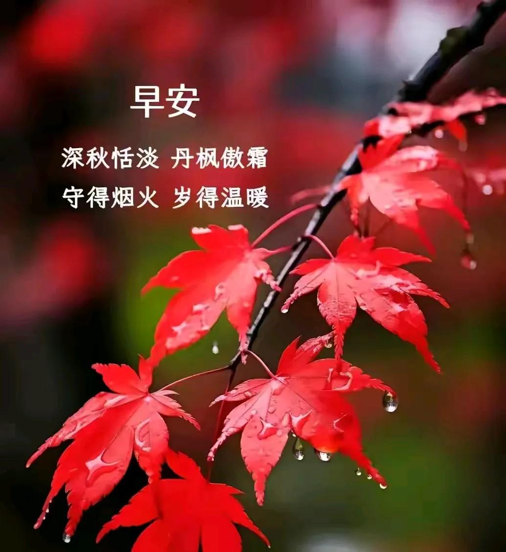 临江仙•暮秋
草木染霜时菊灿，
西风拥叶飘翩。
绮纷怀远顺其然。
典藏新故事，
