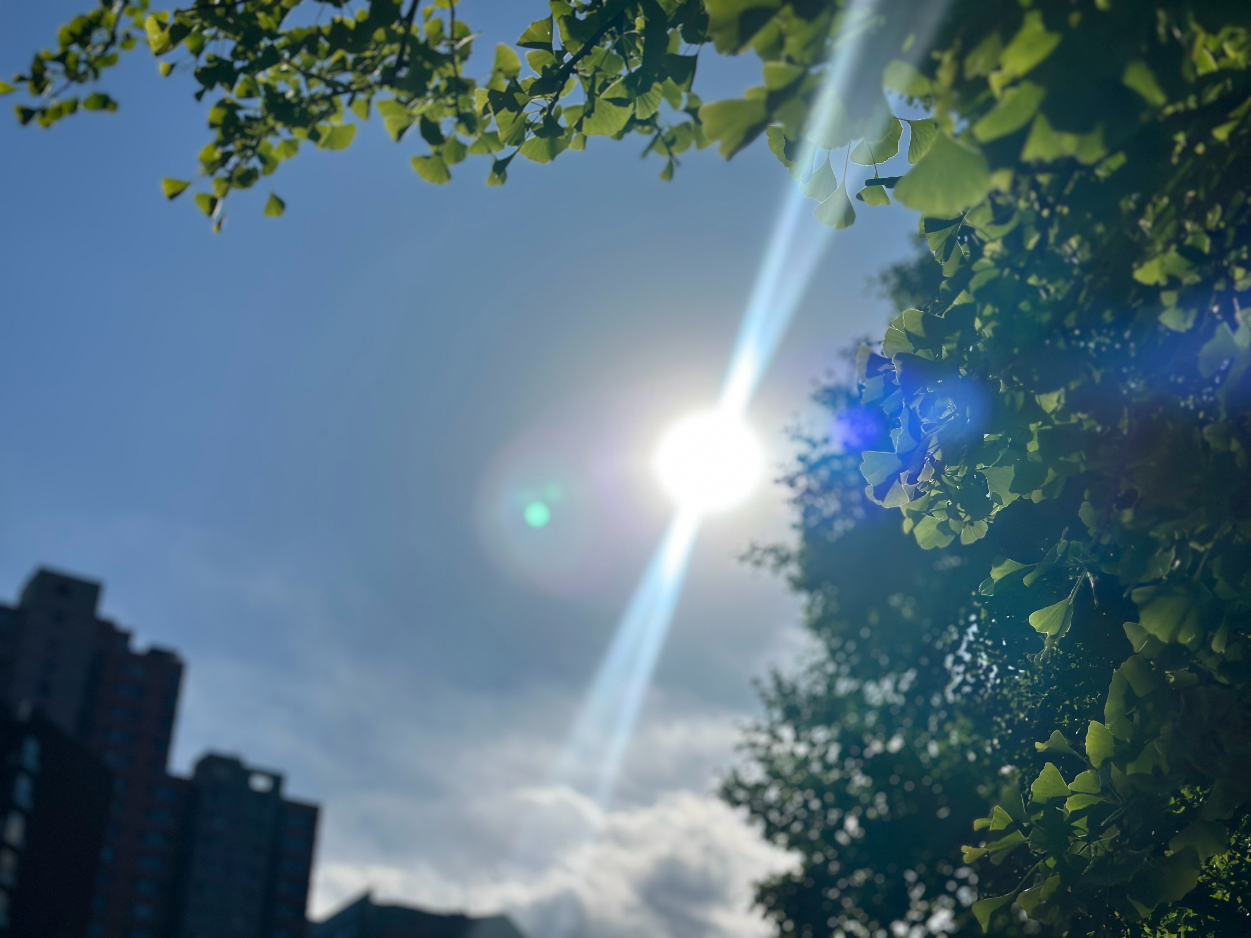 1.用好AI有了两个前提，一个是讲清楚需求，另一个是知道AI的边界能力。2.同理