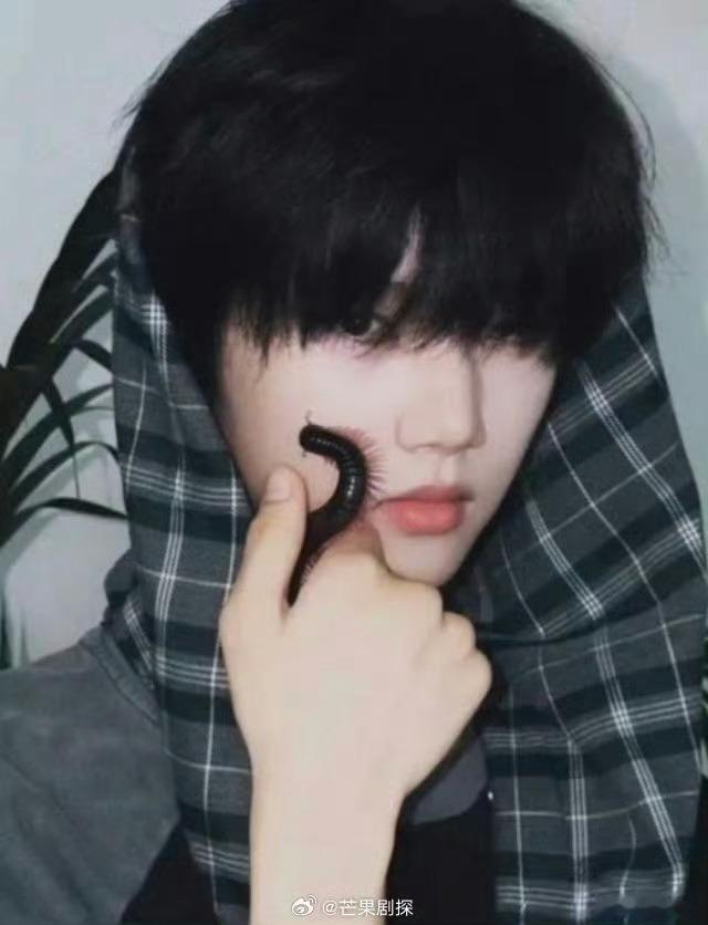 以为张函瑞把蜈蚣放脸上了张函瑞就这么水灵灵的把马陆放脸上了 这个是五毒无害的马路