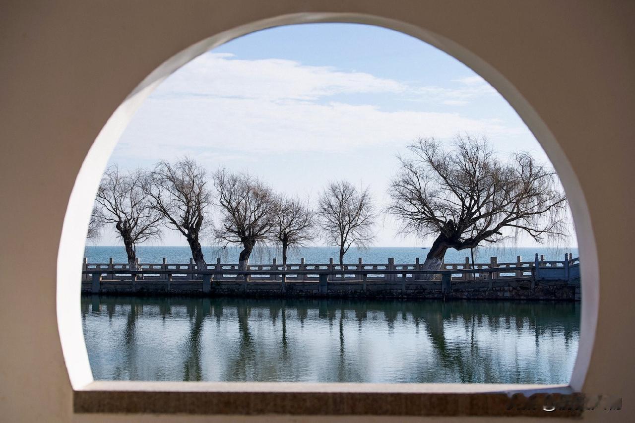 透过窗户看湖边光秃秃的树。