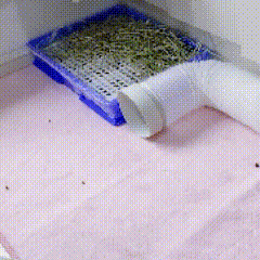 15017🐇【祝您】大便通畅 ​​​