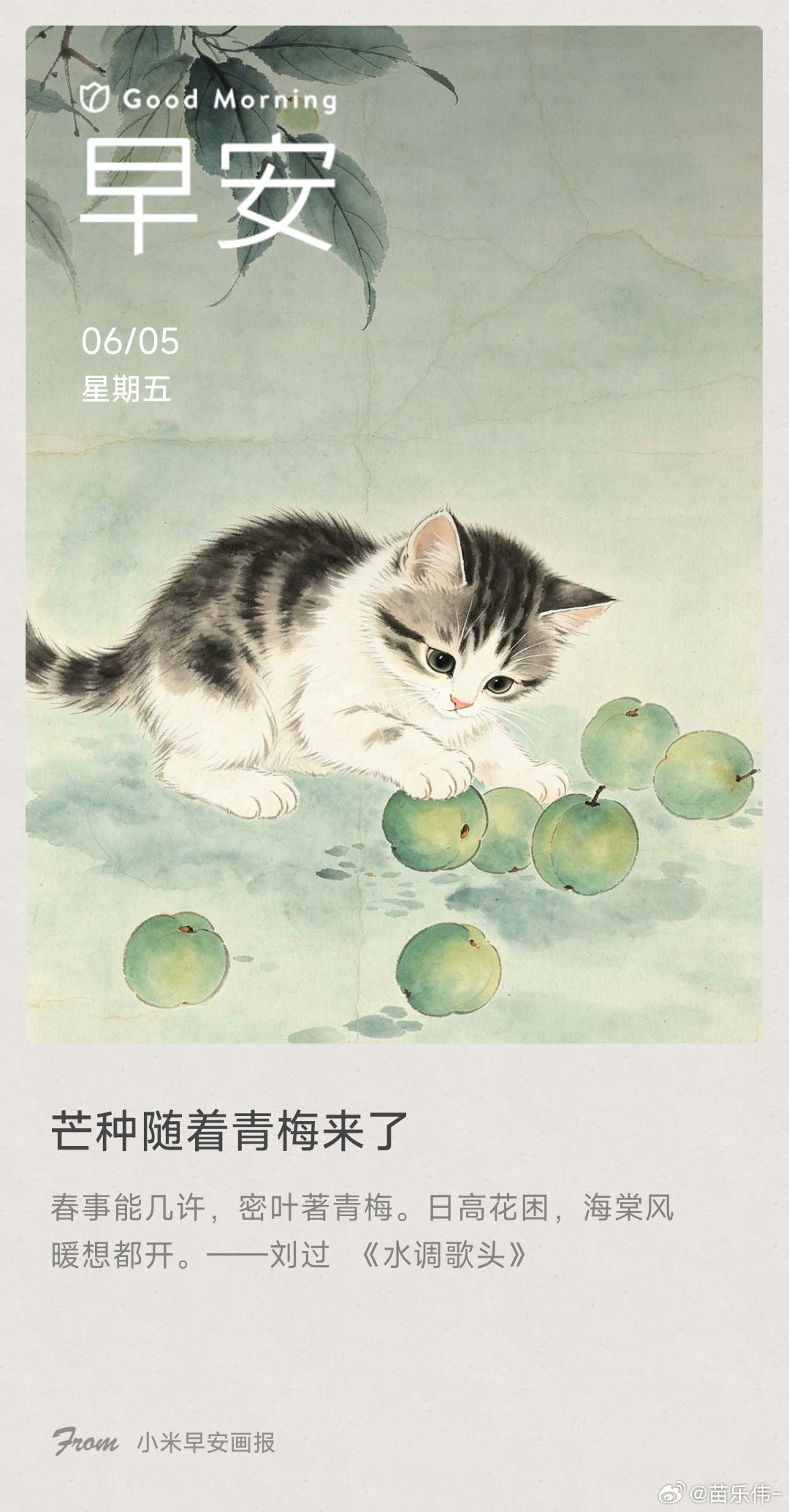 芒种随着青梅来了： 春事能几许，密叶著青梅。日高花困，海棠风暖想都开。——刘过 