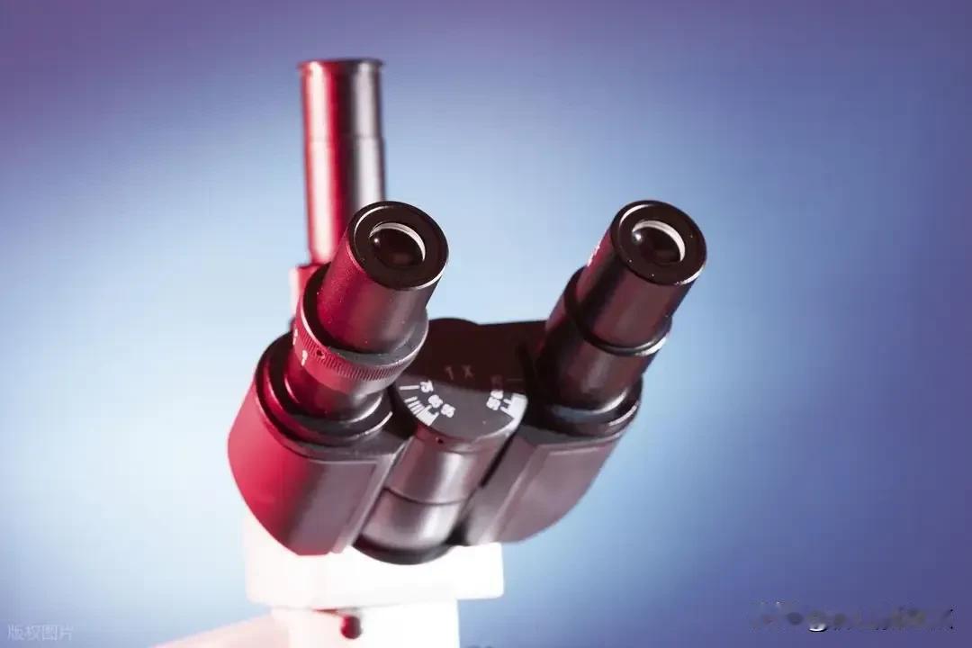 德国人对此颇感困惑：他们深耕百余年的显微镜制造技艺，竟被宁波一家企业成功突破。