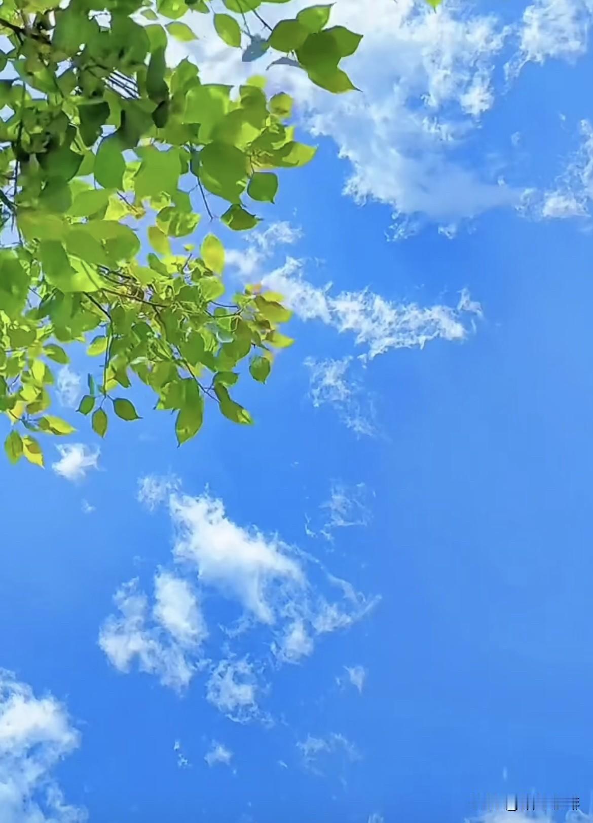 上联：水流山还在
   下联：云散天已非