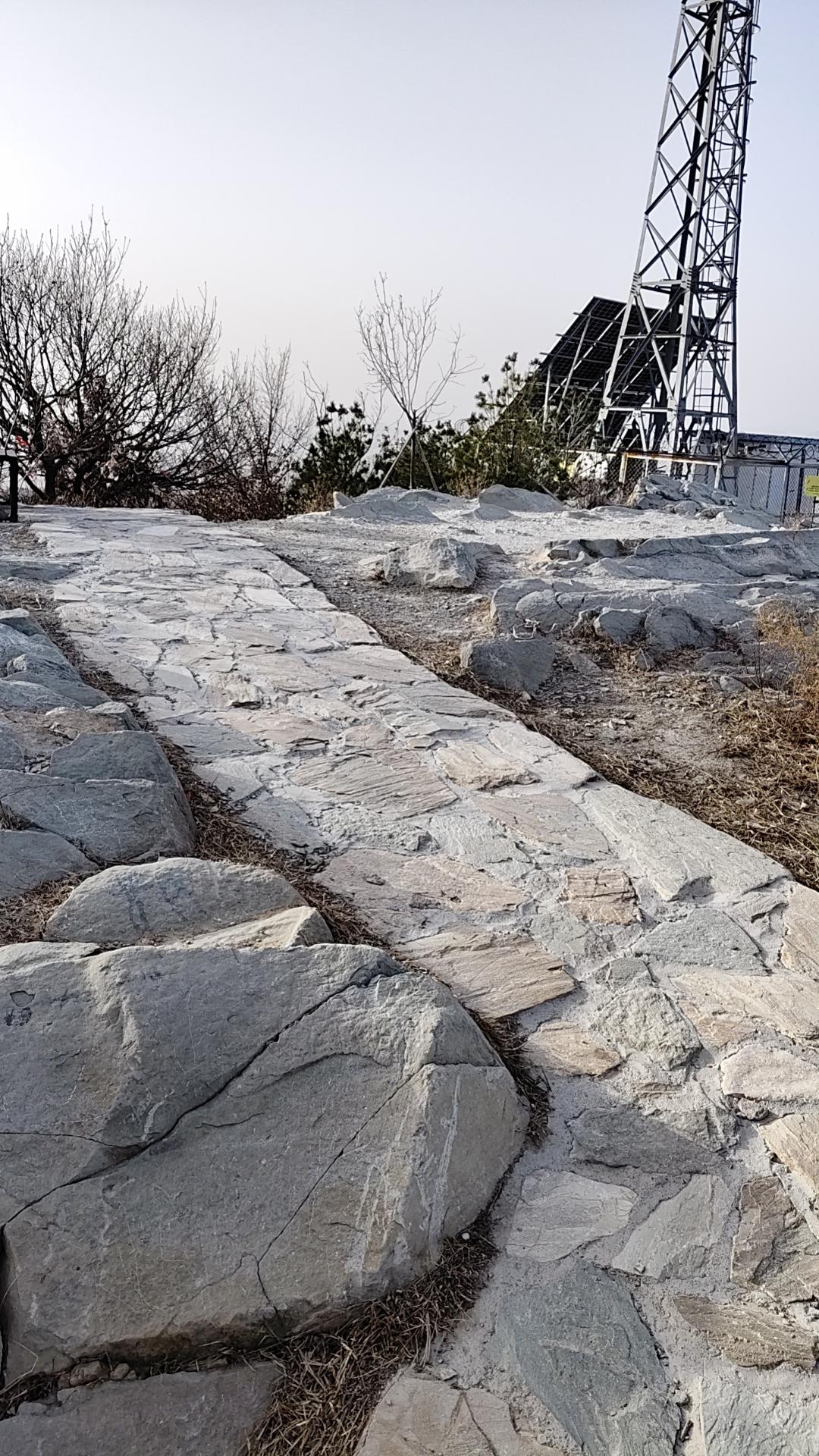 高市早苗又出梗了
近日，高市早苗在国际金融会议上因急于吸引外国投资者，引用动漫《