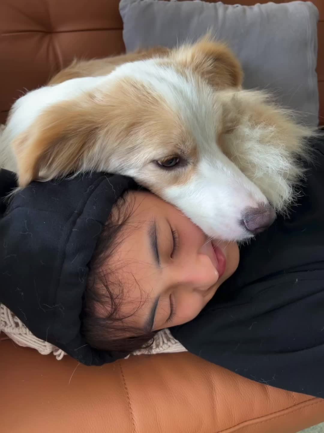 两个可爱🐶 狗狗