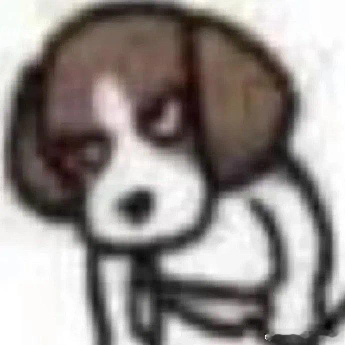 表情包每日一更 ​​​