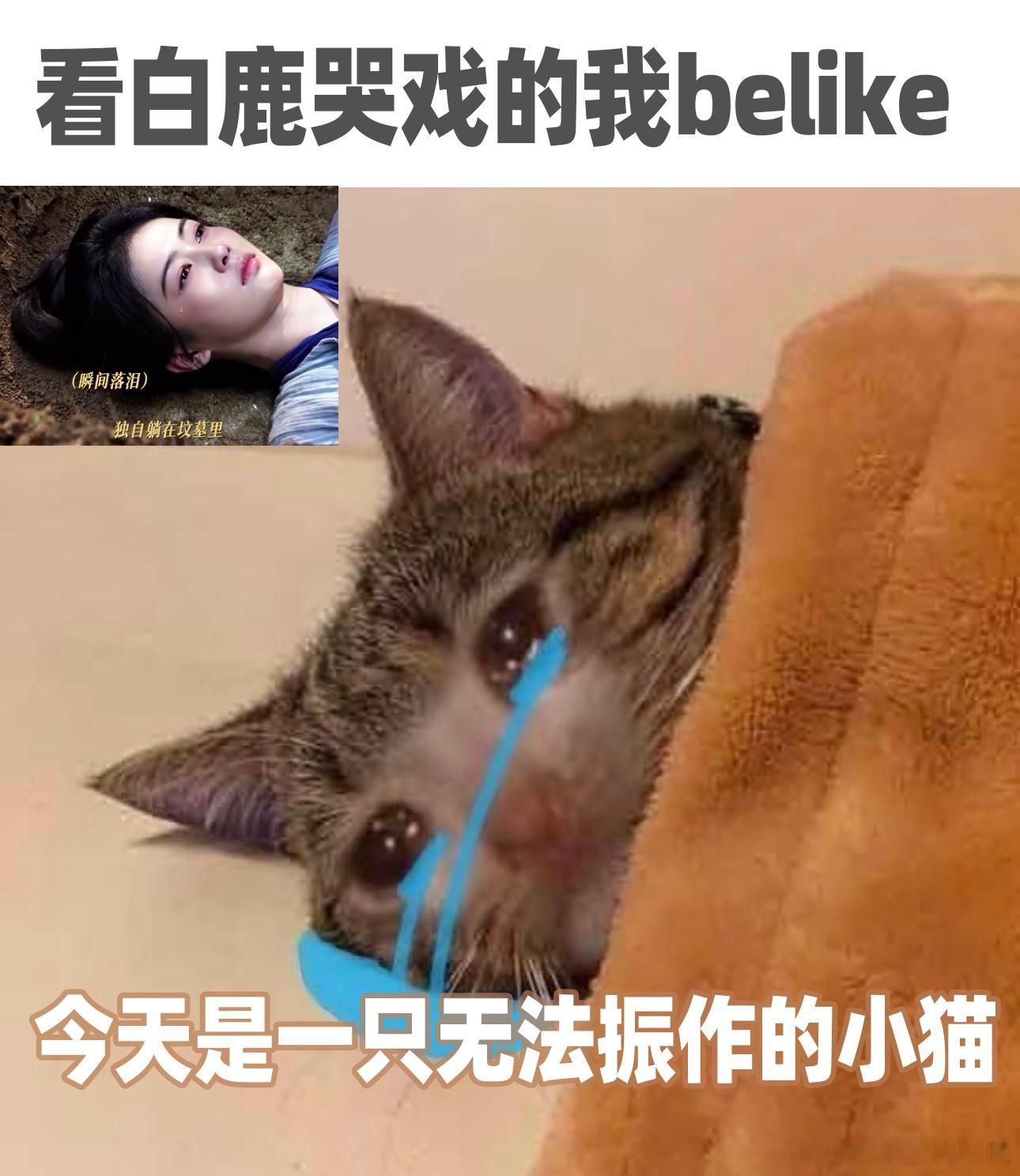 白鹿新剧躺在坟墓里流泪 看着她在泥土与黑暗中挣扎，仿佛能听到她内心的悲鸣。白鹿把