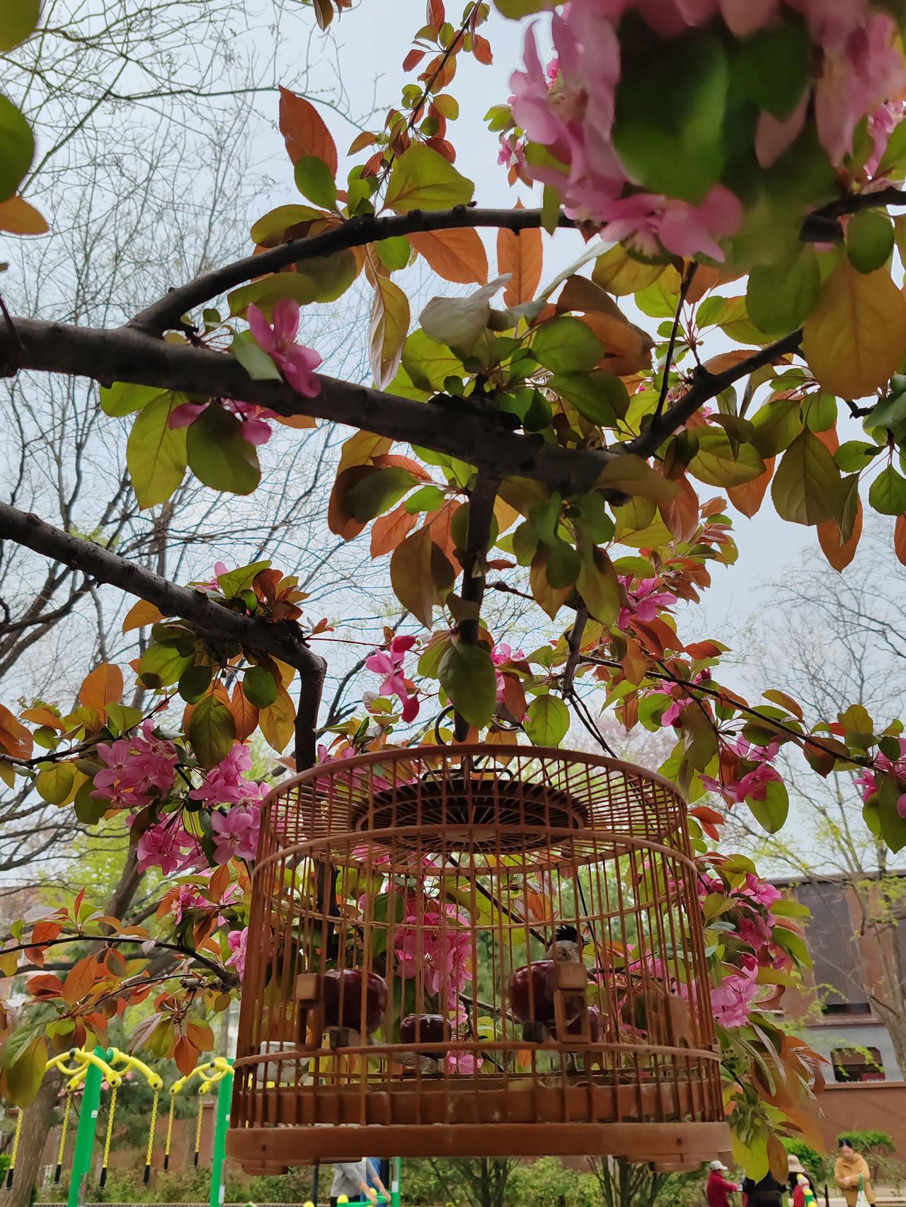 春日生活打卡季春天随手拍。