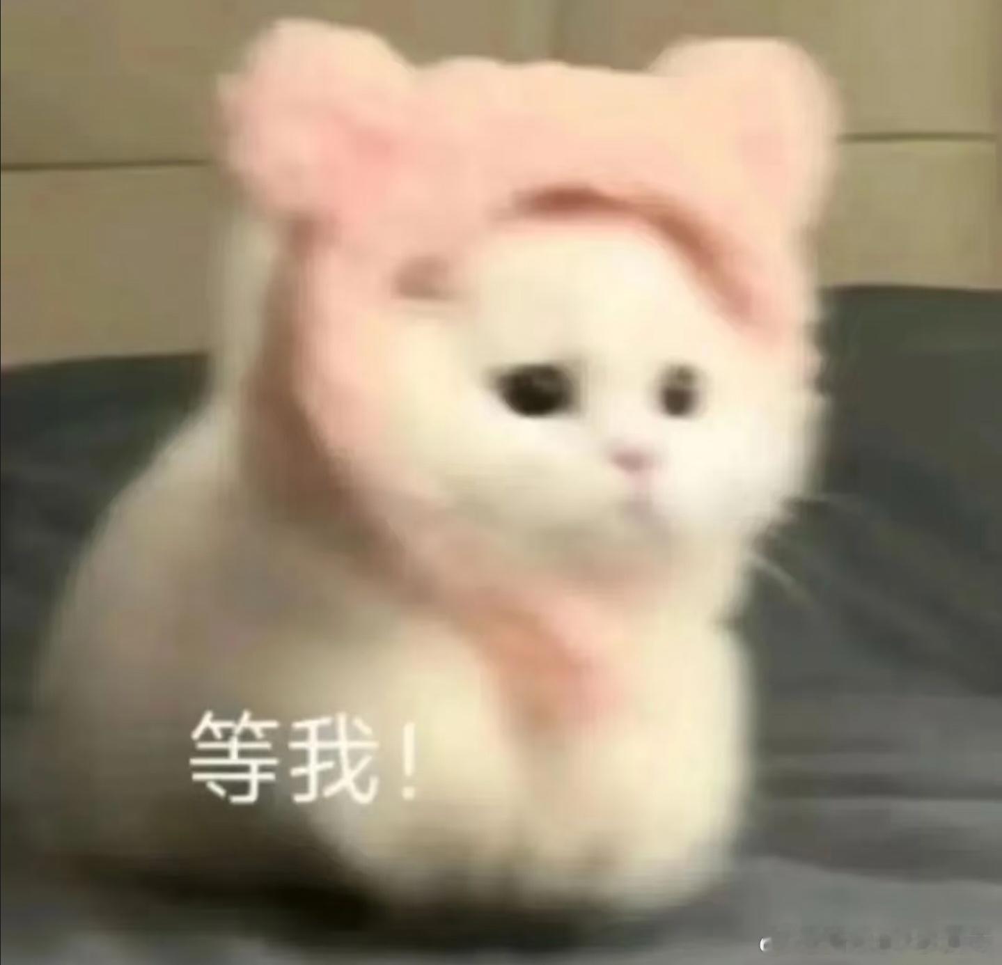9 月也是相当热闹的一个月，品牌试驾会、新品发布会、主题活动接连不断。比起发布会