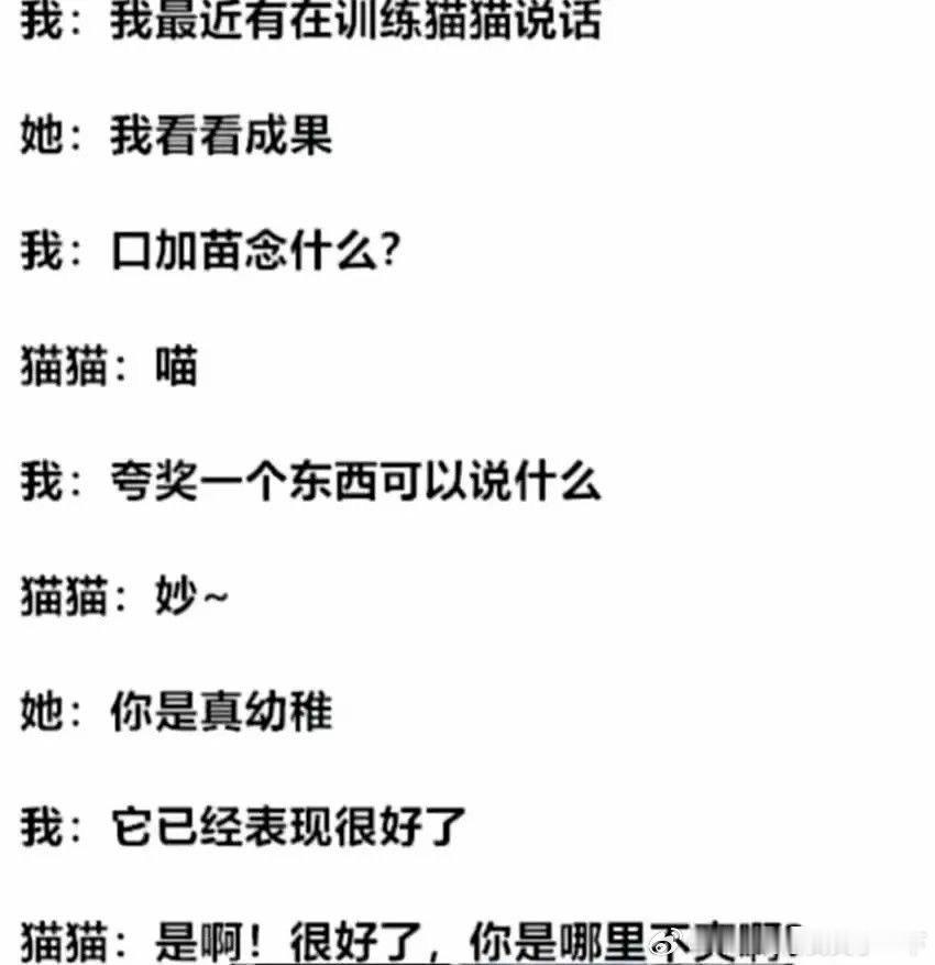 2188喵啊喵 