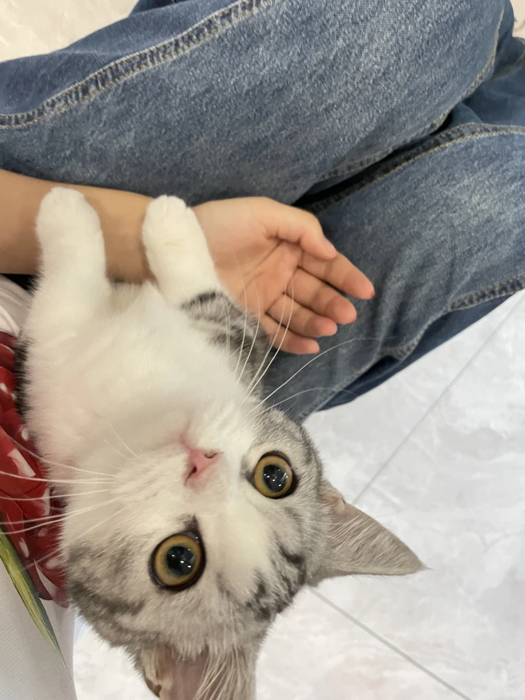 你偷偷吃什么呢