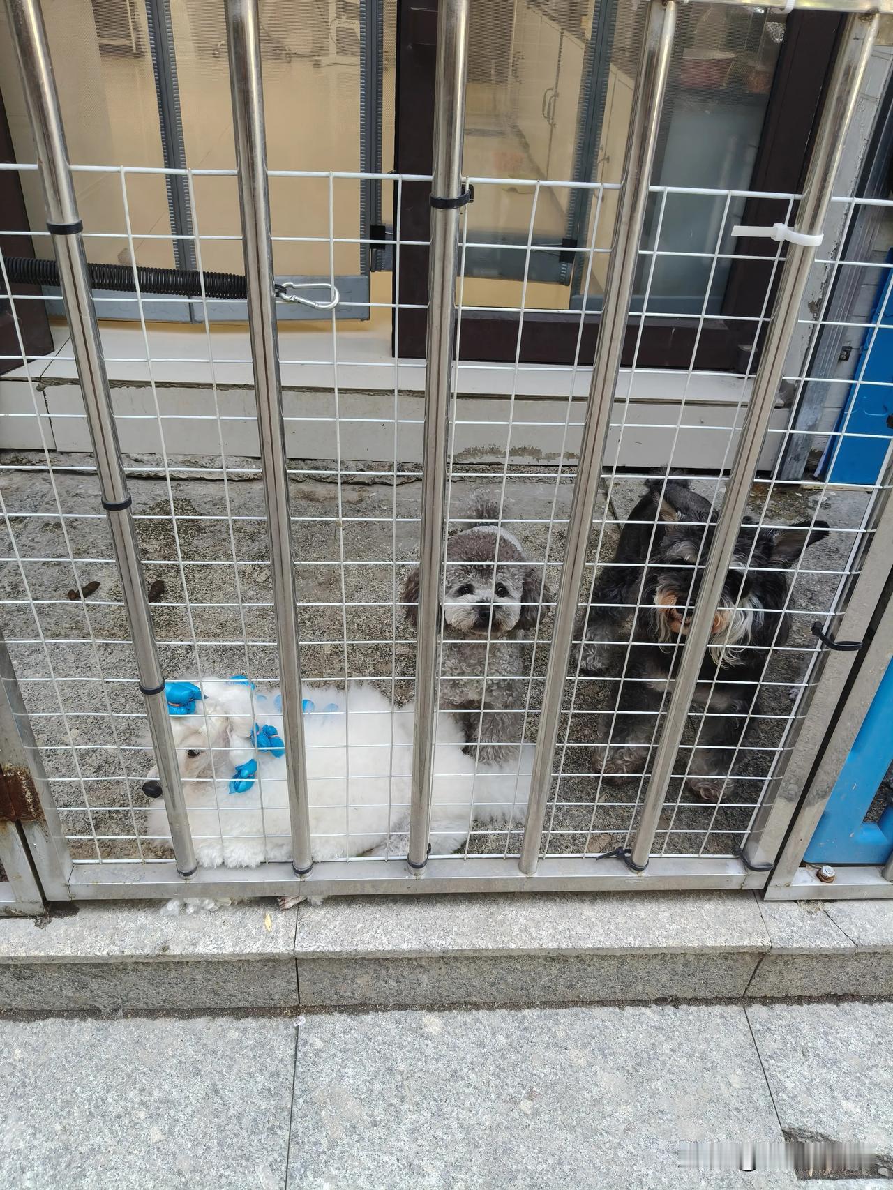 都记得