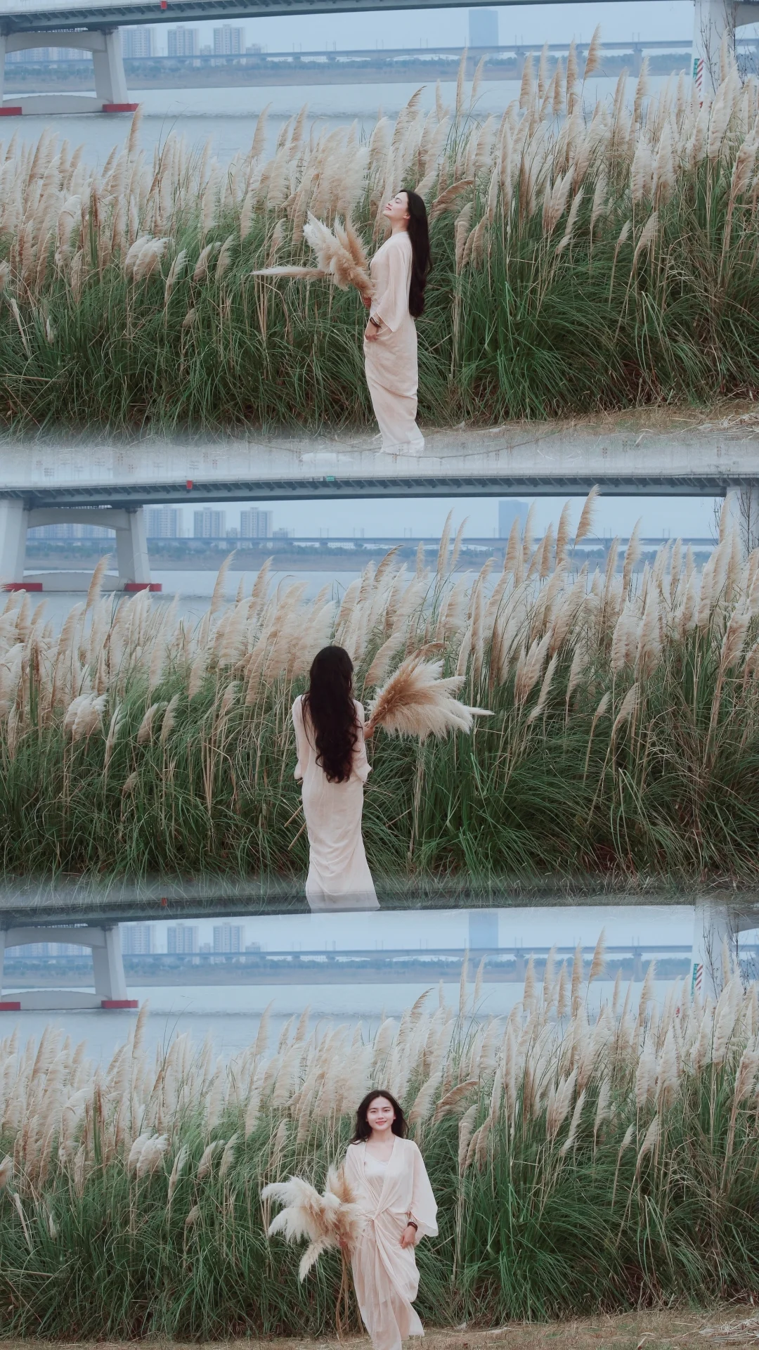 南昌芦苇荡｜风里开始有了秋的味道🍂