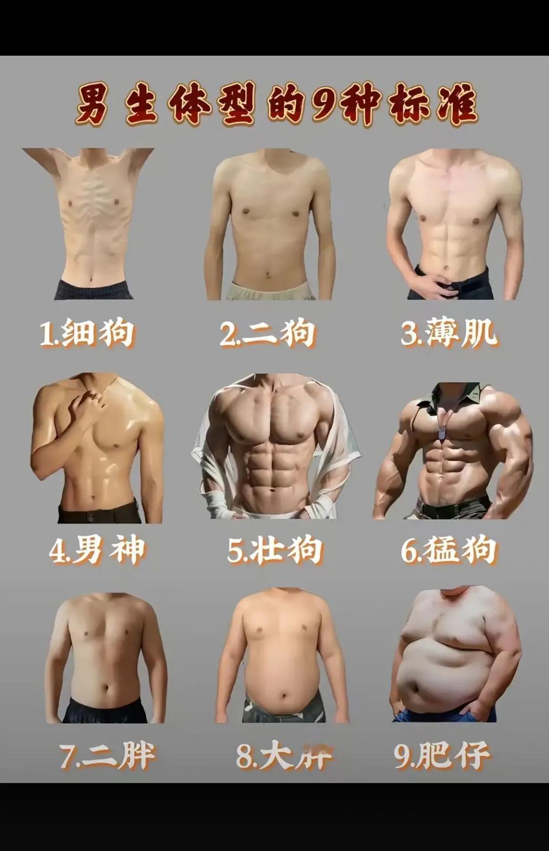 你是那种身材？？？？