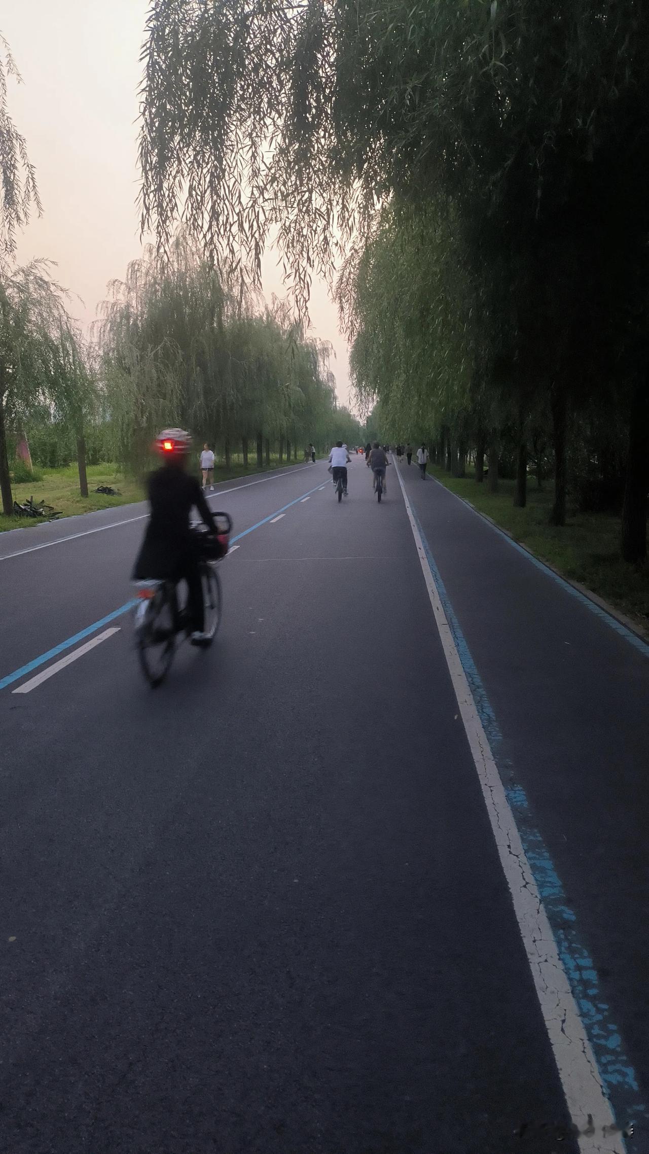 夜骑北堤路。
今日路线，从恒祥北大街与北堤路交叉口，一路往西，到向阳北大街，再从