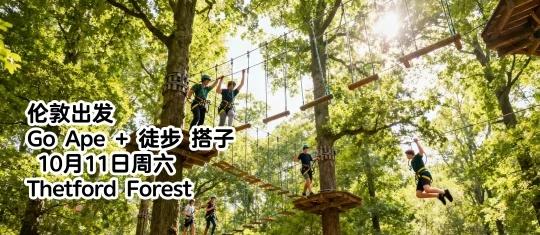 伦敦摇人📢10.11冲Go Ape鼻祖+徒步！
英区打工人急需周末「充电局」！