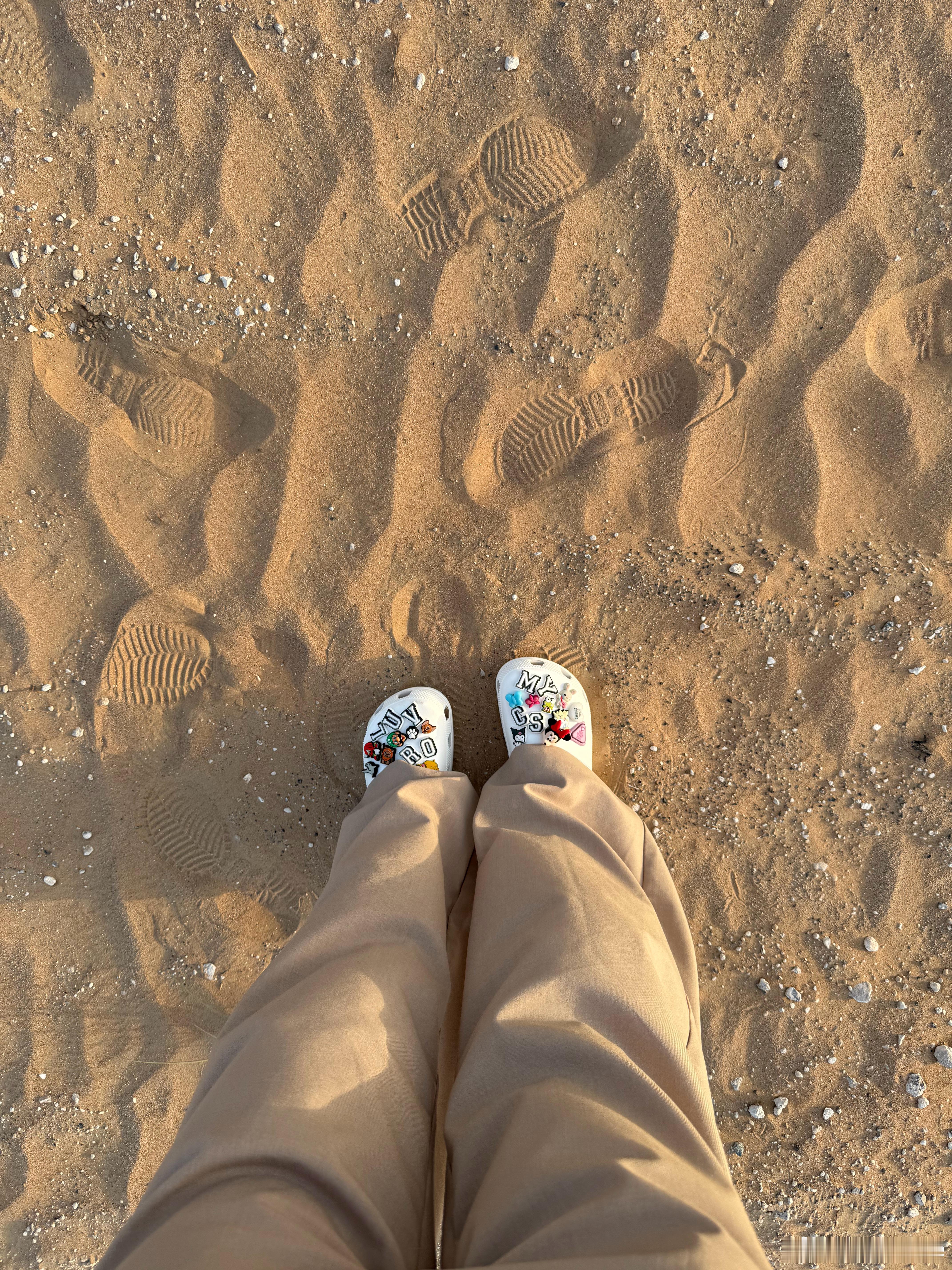 🏜️ 
