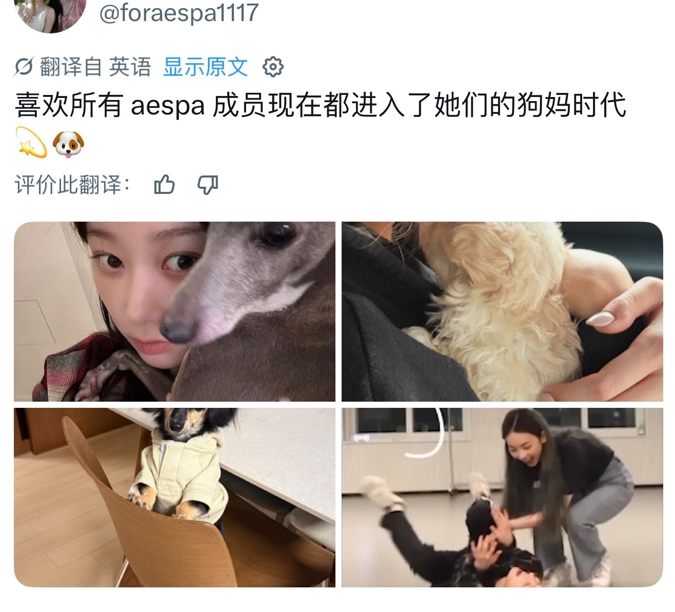 ？等等不对劲 