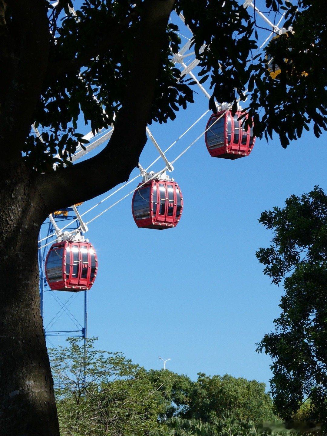 朋友们我买了个相机📷真的是缘分一到自然就来了[心]我想买相机几十年了，那天相机