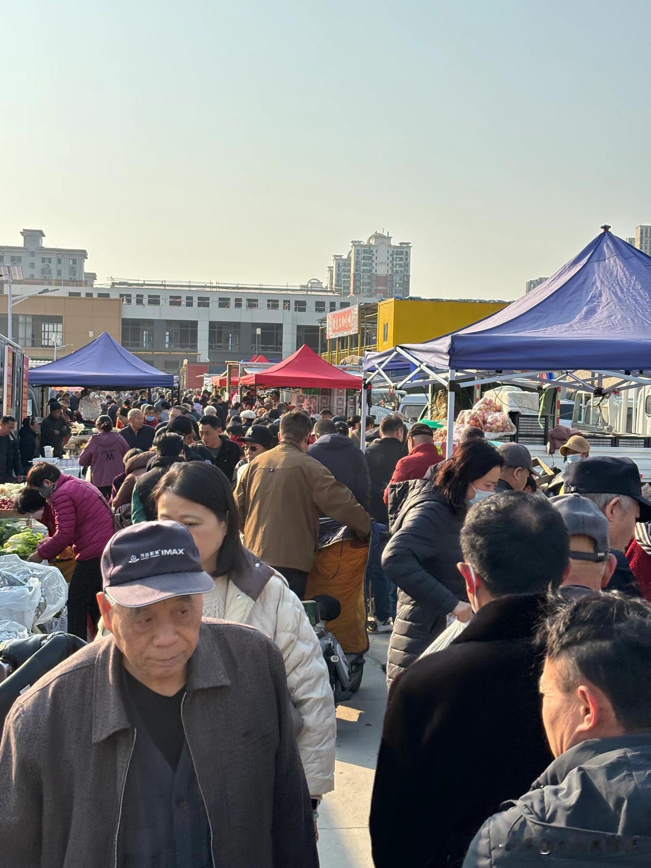 每逢三五八十，历下区的城中大集，每次来都有满满的收获

西红柿、白菜、山药、猪肉