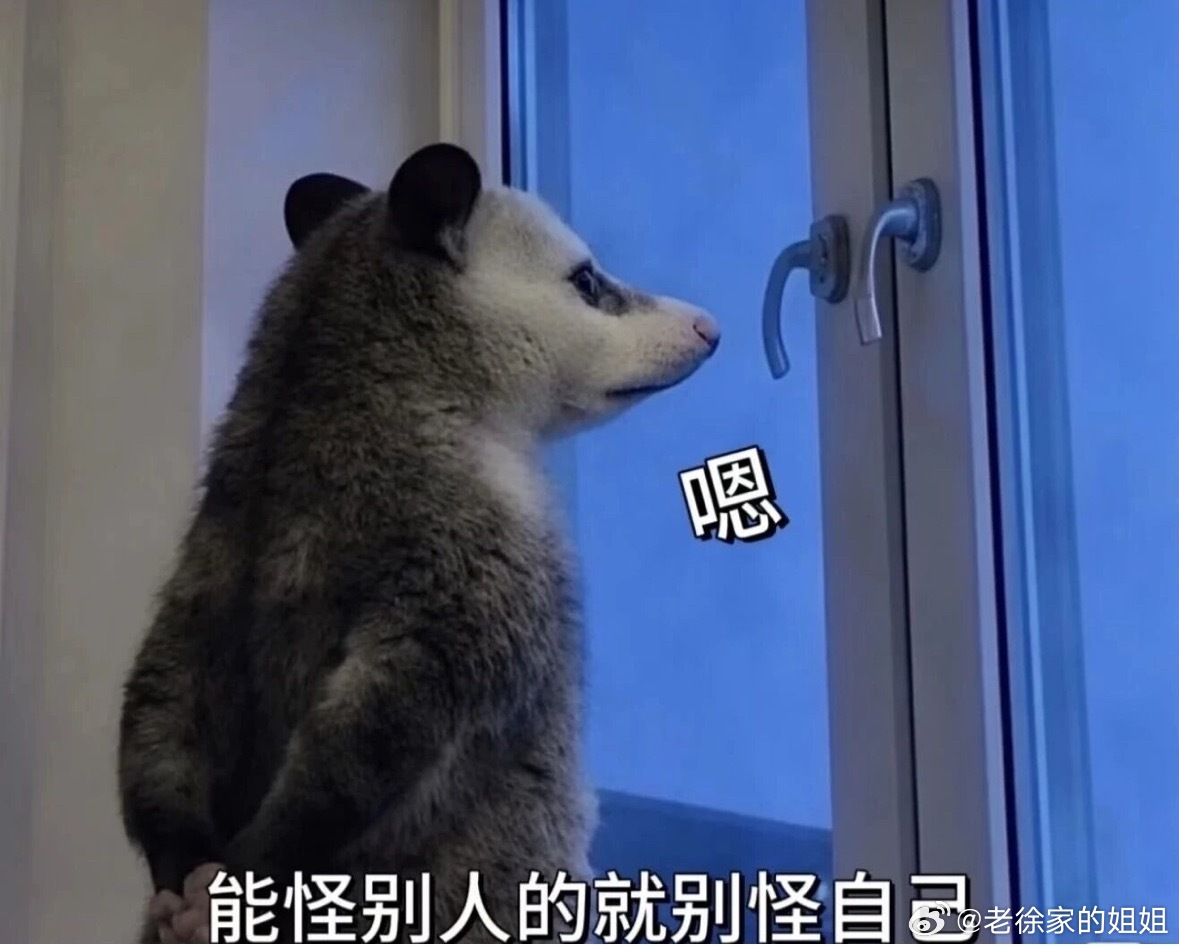 爬了一个群的几千楼，心力交瘁的看完了一场小学鸡互啄……整个人都不好了……