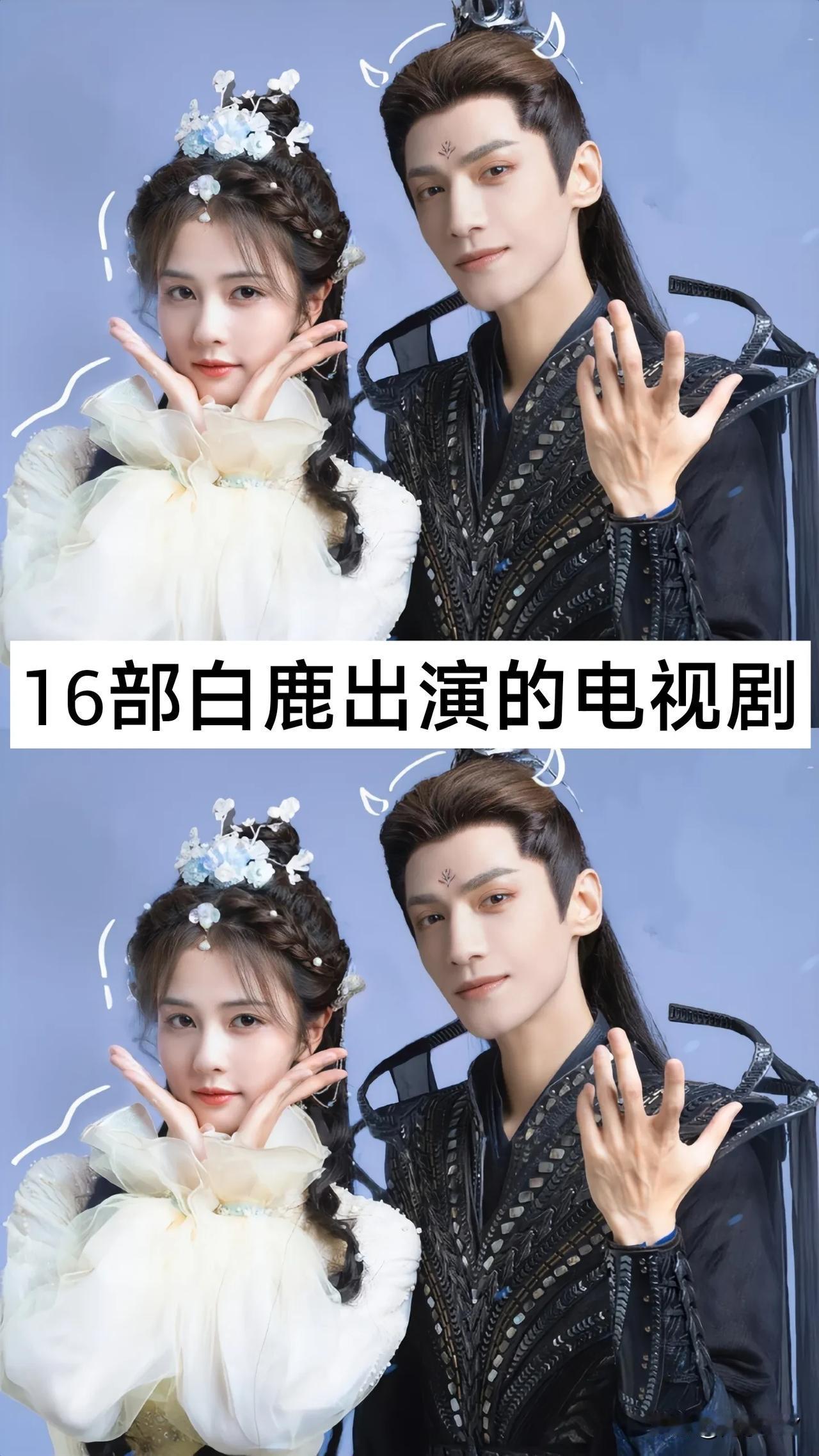16部白鹿出演的电视剧