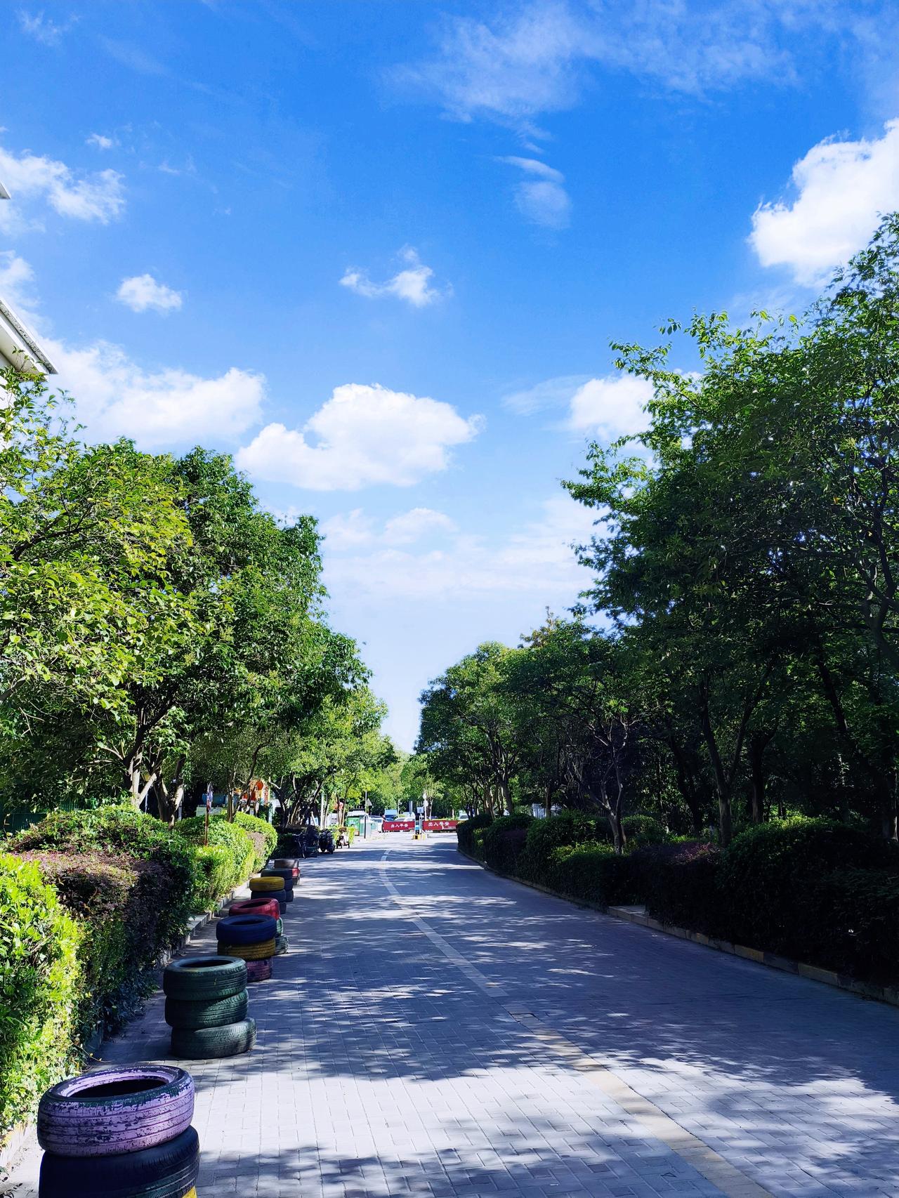 南京这天气真是让人捉摸不透。之前台风“巴威”来袭，江苏发布预警，南京预计有100
