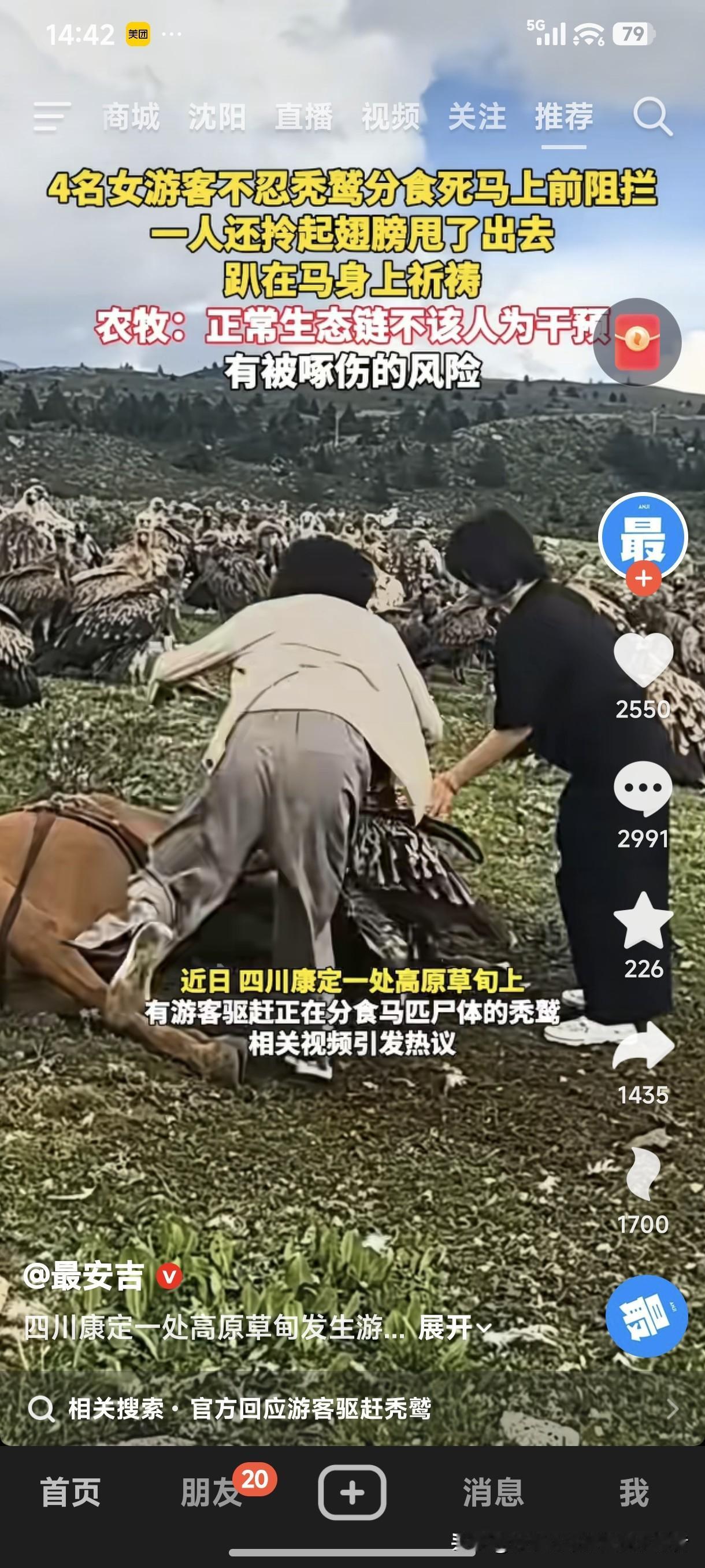 “爱心泛滥”还是“肆意妄为”！
网上看见，四川康定一处高原草甸上，4名女游客不忍