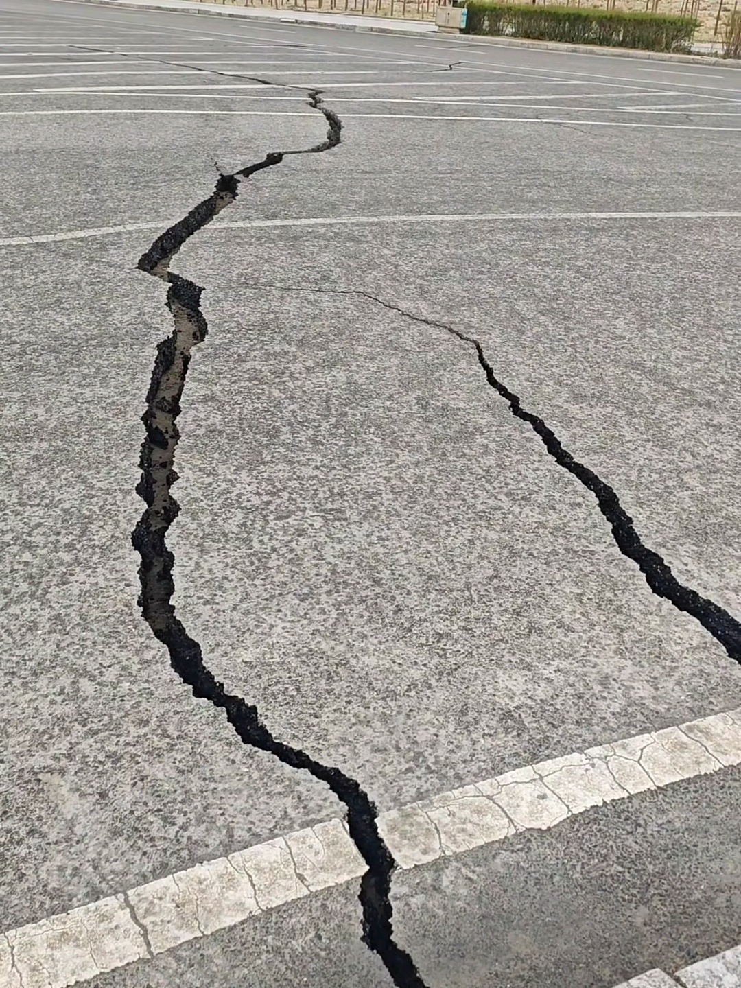 海西地震6.3级啊，震感应该很强，路面都裂开了 