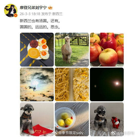 刘宇宁在新西兰吃上汤圆了，我还没有，宁哥在哪个亚超买的😭 