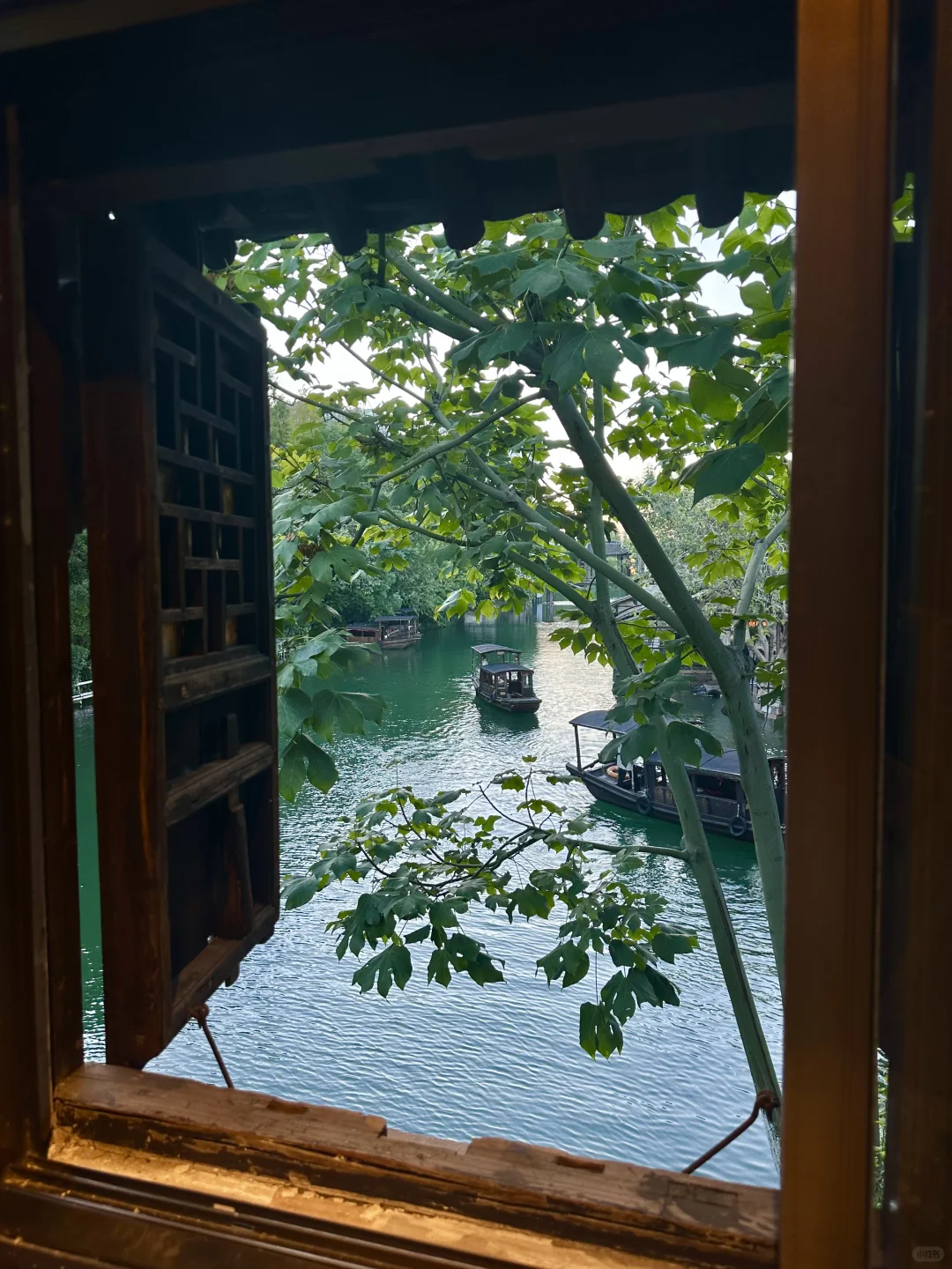 乌镇🍃谁不忆江南❓