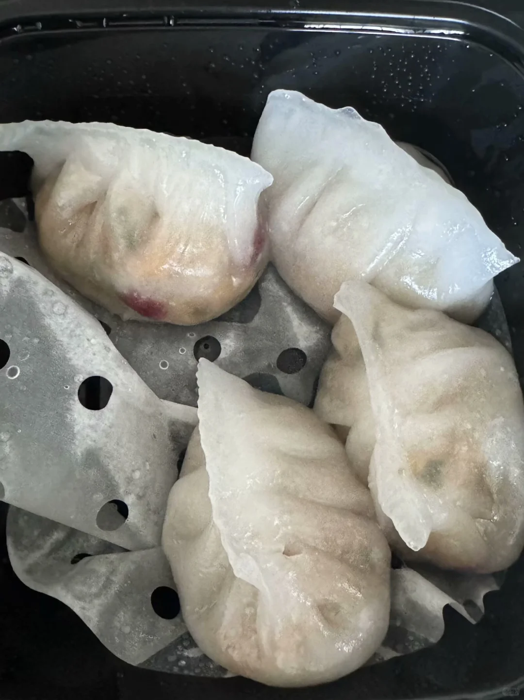 吃完又吃第2338天粉粿