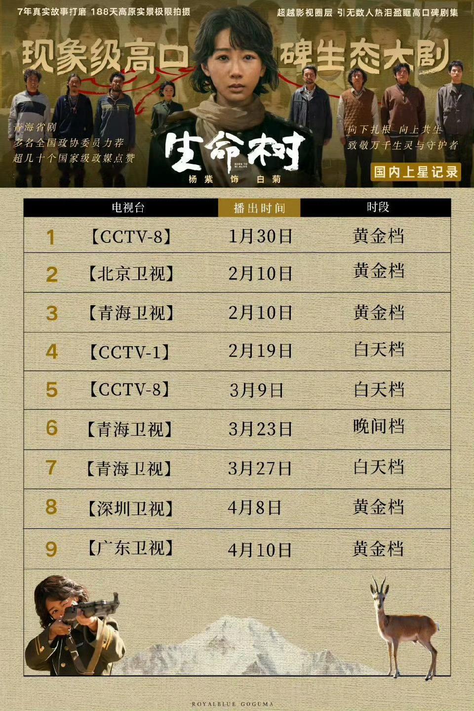 杨紫生命树已经九轮上星，五轮黄金档了。 