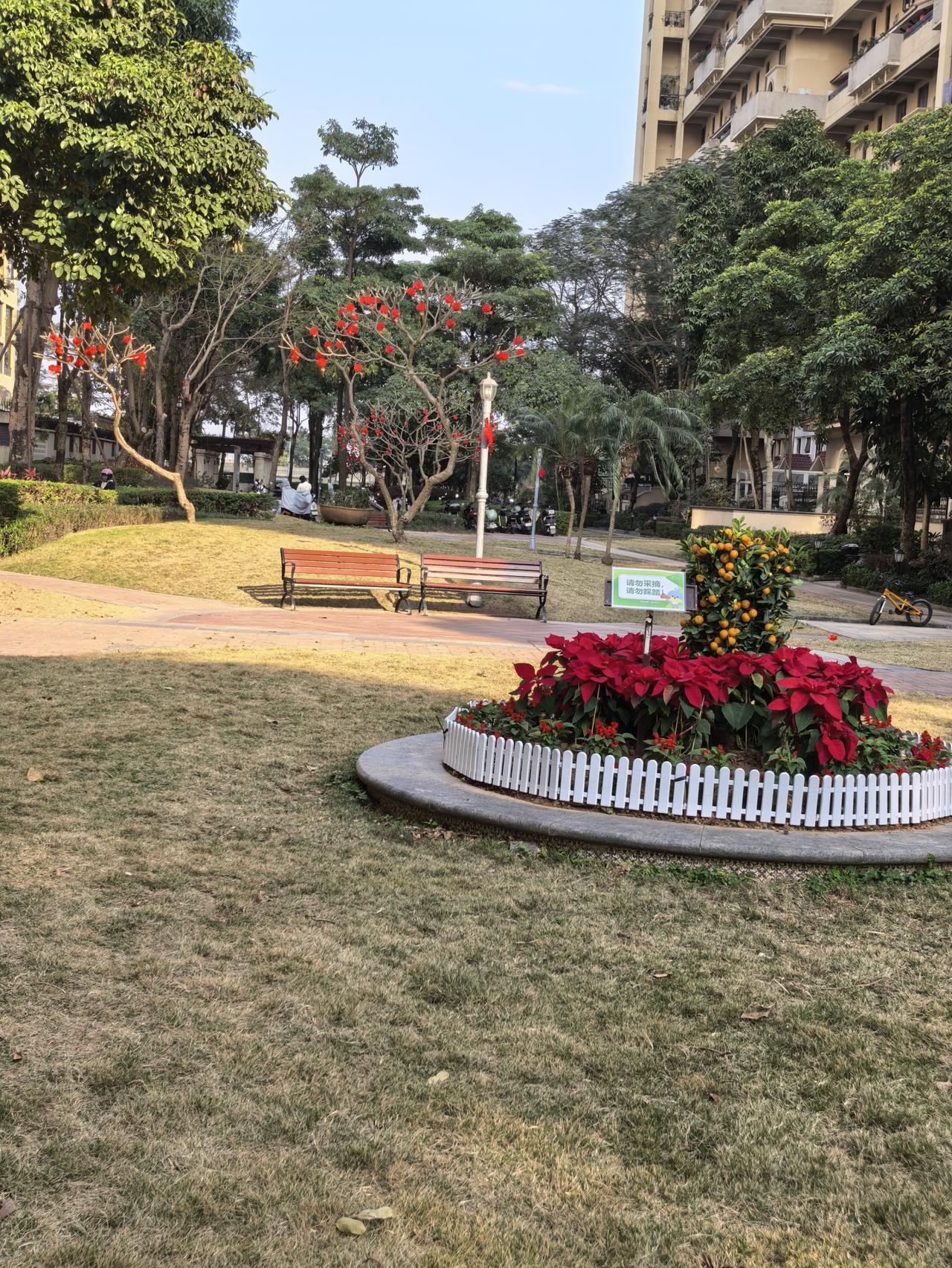 我们小区的年味很浓，色调很红。