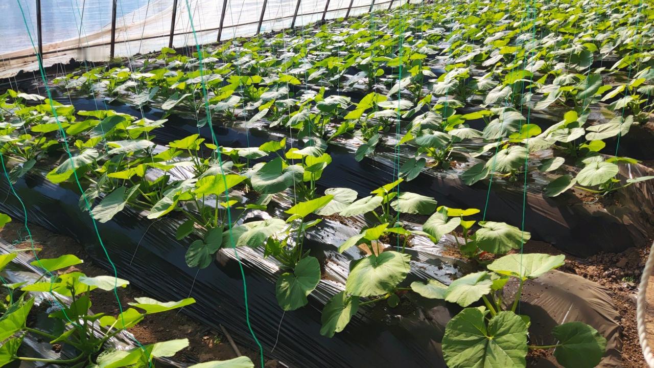 晒图笔记大赛严冬也是希望的开始～