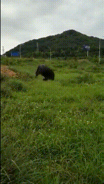 今天很闲，很无聊