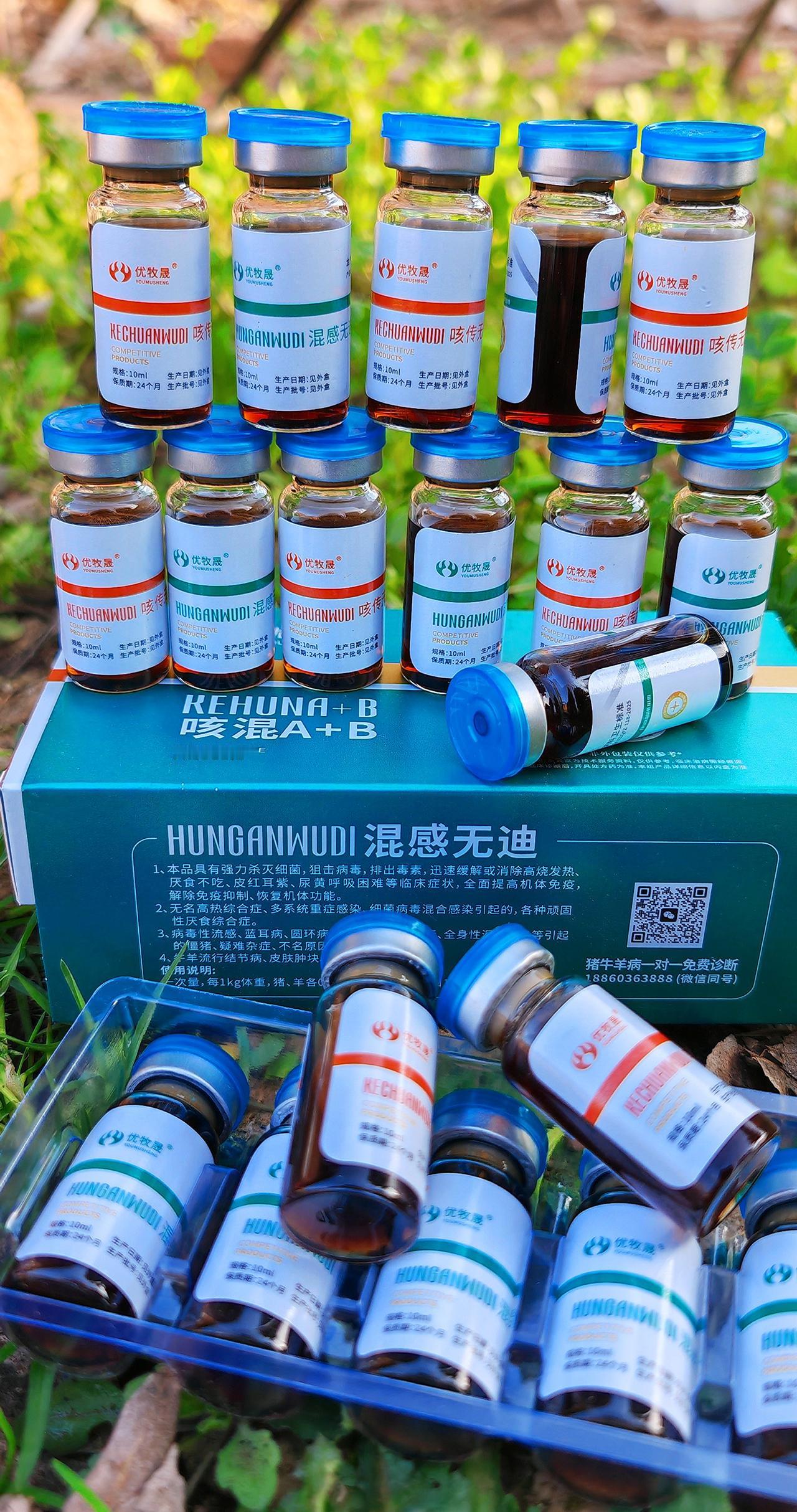 养羊人 牛羊养殖 农村养羊