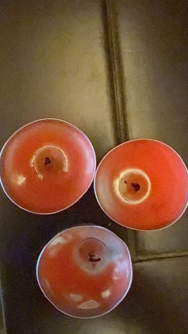 昨天蜡烛，姓杨，蒋，赵灭了，昨天有负能量的私信我[抱拳][抱拳] 
