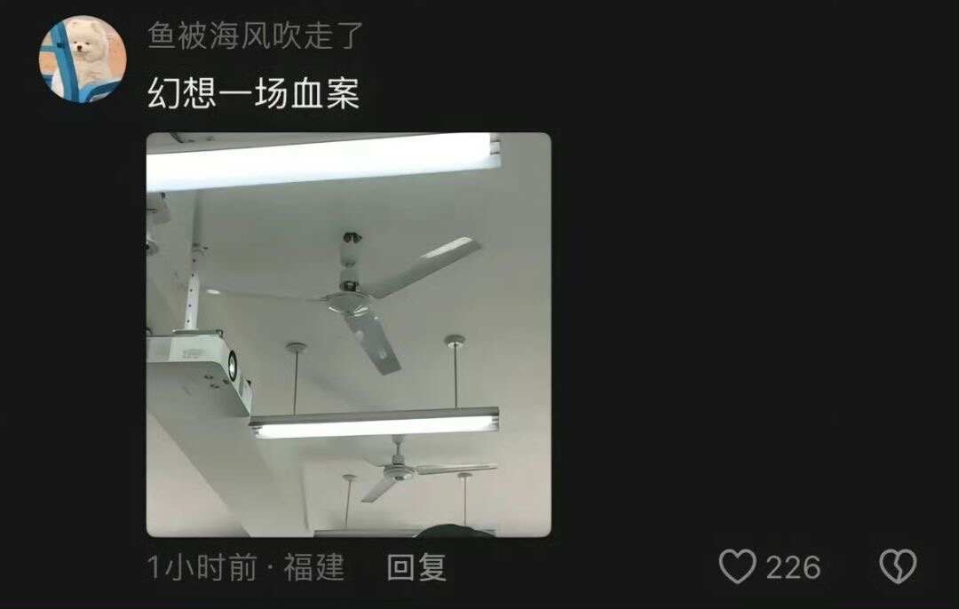 我的童年貌似没有告诉过任何一个人 