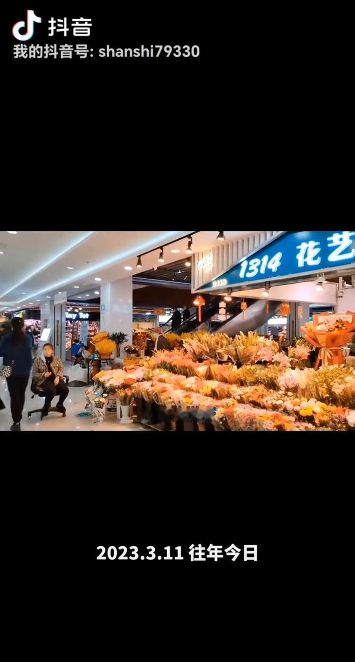 沈阳春暖花开，《山石逛沈阳》逛老北市花鸟鱼市场。
大家好，我现在的位置是在沈阳老