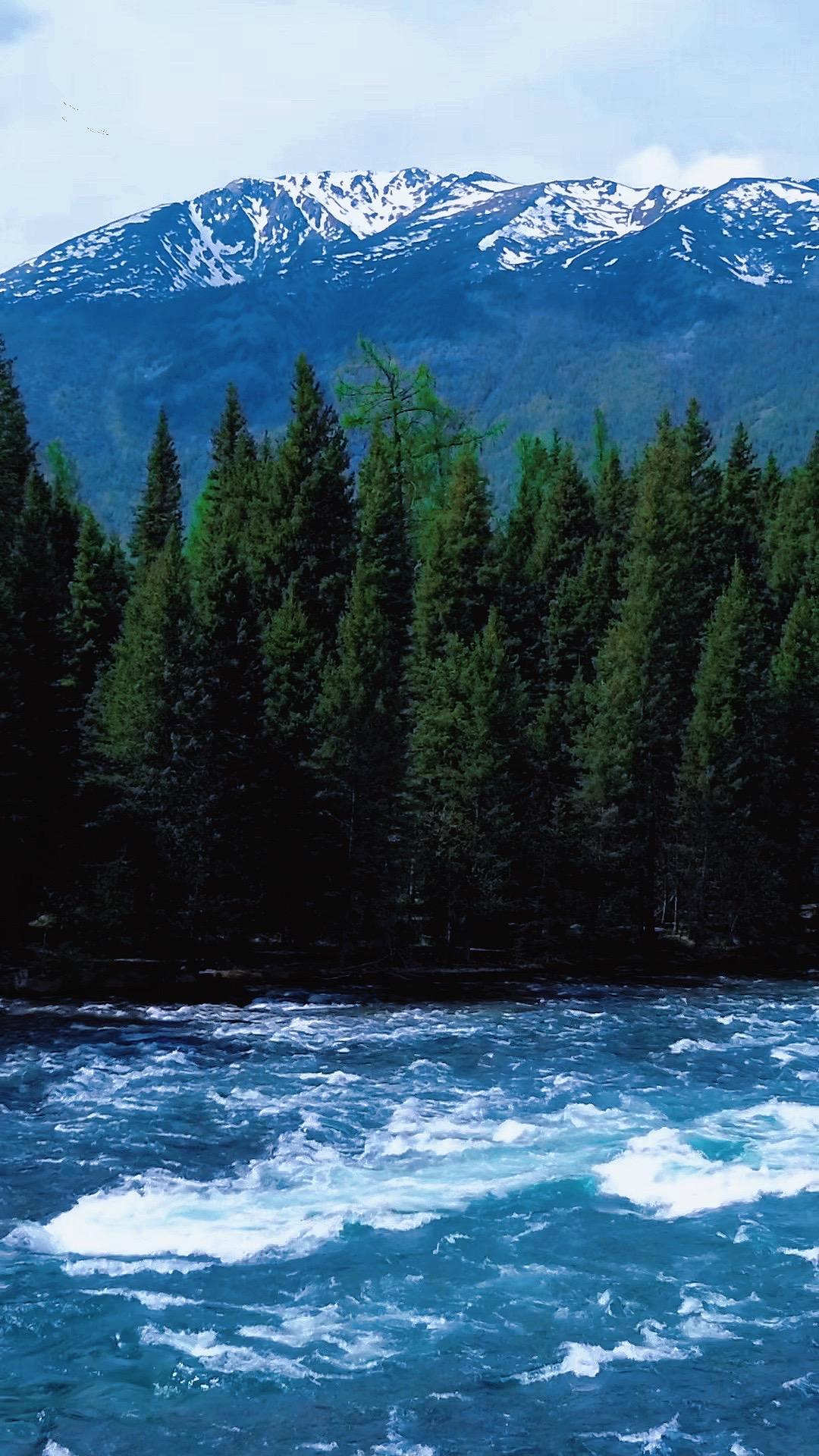 平民子弟对婚姻不要抱有任何不切实际的幻想  没有爱情打底的婚姻，就像两...