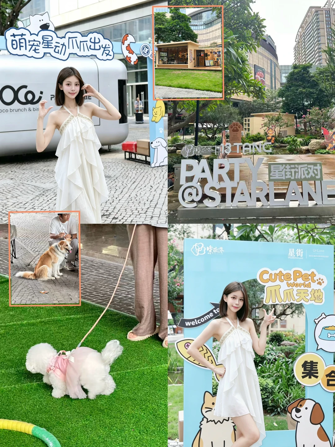 佛山撸宠天花板！星际熊游园会太治愈✨📍🐶